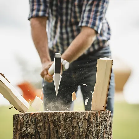 Hotel Arborea Marina Neustadt 4*