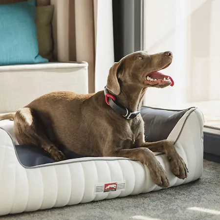 Arborea Marina Neustadt 4*