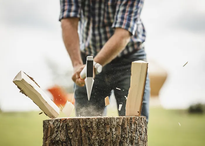 Hotell Arborea Marina Neustadt 4*