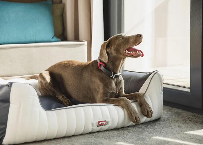 Arborea Marina Neustadt 4*